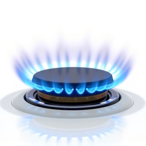 Gas oven burner repair safety inspection Sacramento